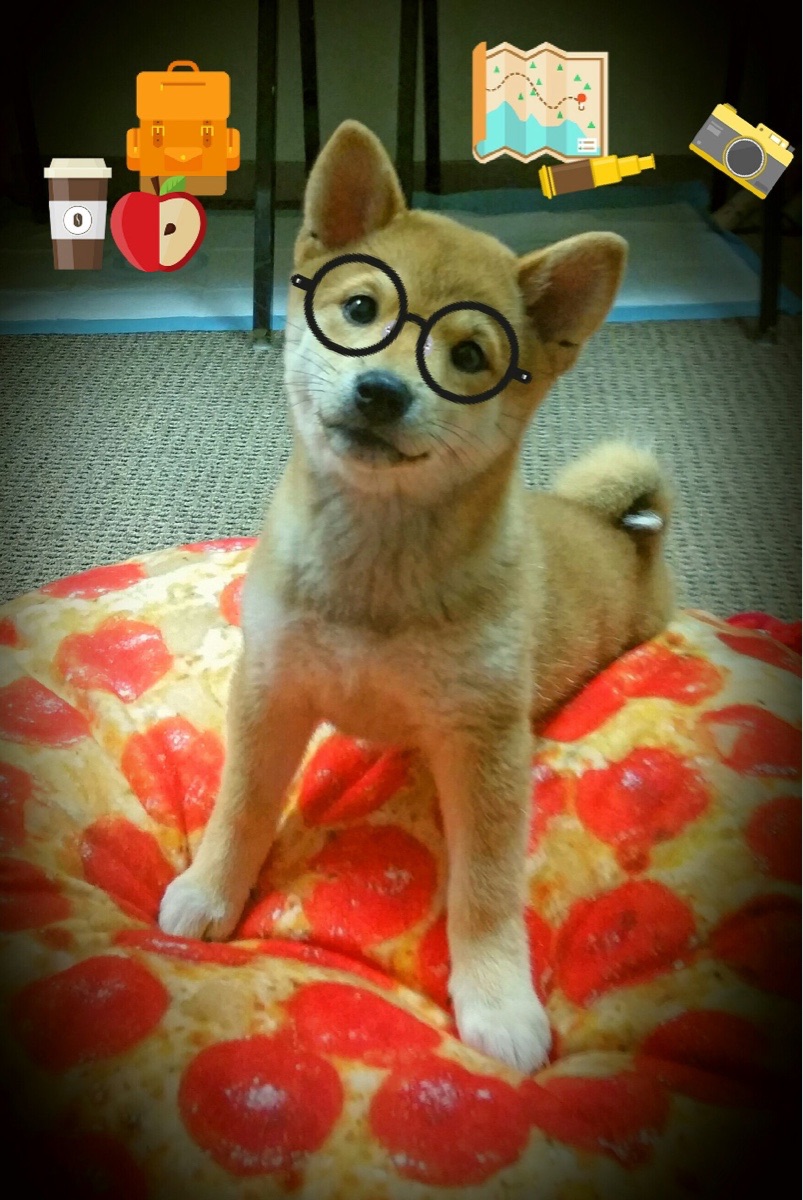 体育场馆智能安全建设，体育场馆智能安全建设论文