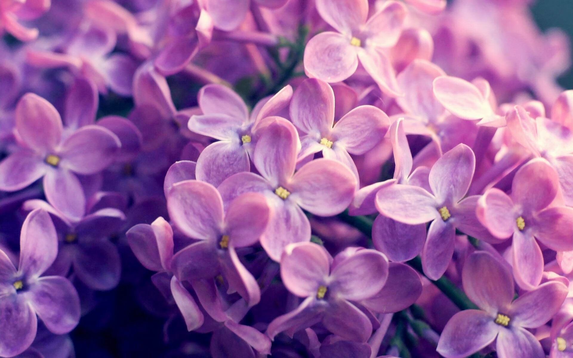 体育赛事现场应急处理方案,体育赛事安全应急方案