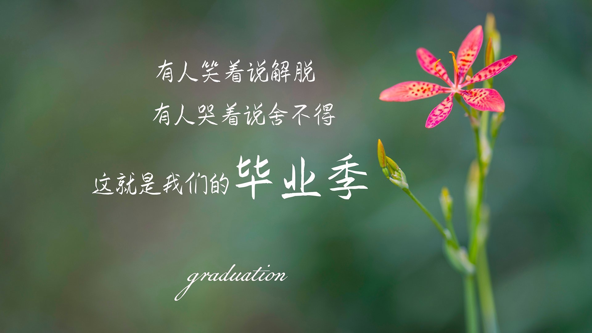 爱游戏体育-德甲主教练更替对球队战术稳定性影响，德足主教练